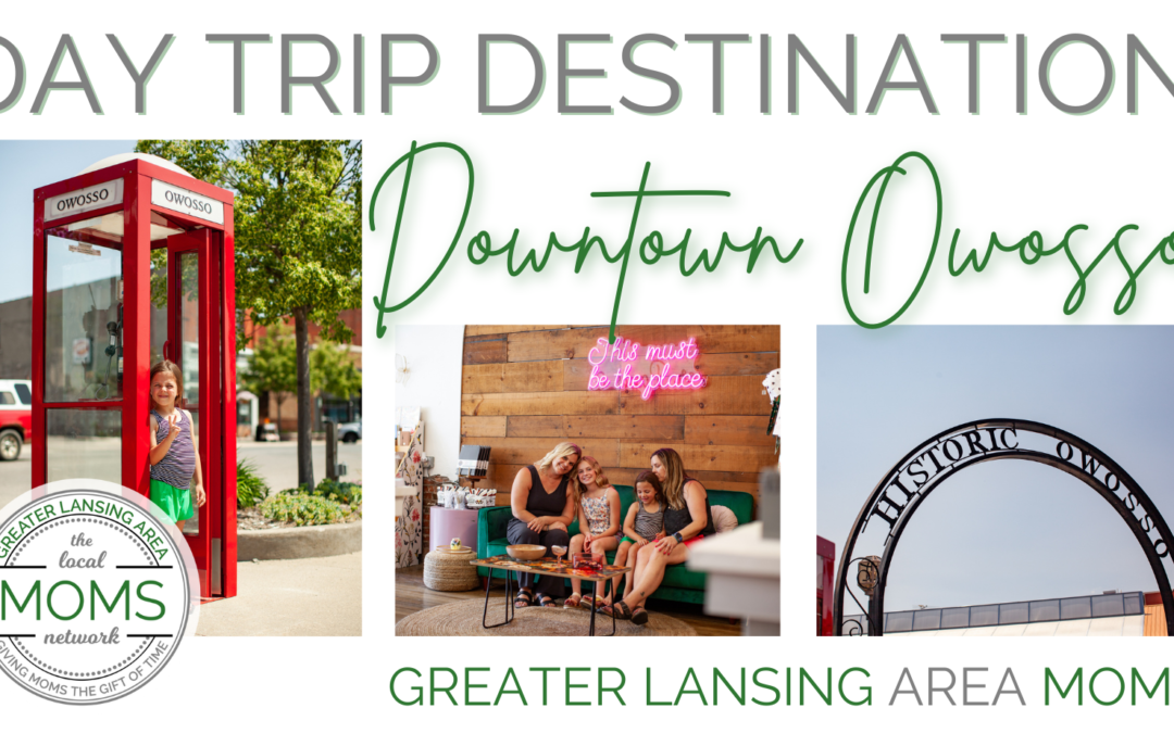 Destination Day Trip: Downtown Owosso