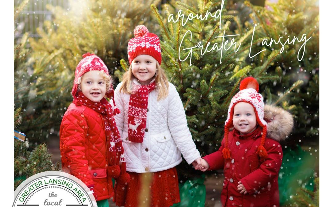 10+ Places to find a Christmas Tree!