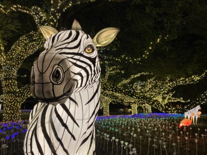 Top 5 Most Extreme Holiday Lights Near Houston