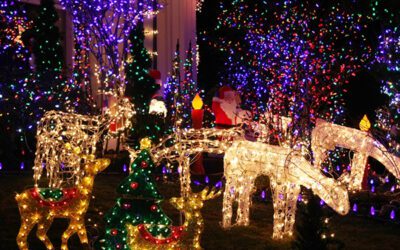 11 Holiday Light Displays You Won’t Want to Miss!