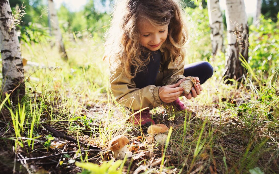 Lyme Disease: What Parents Should Know