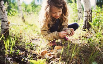 Lyme Disease: What Parents Should Know