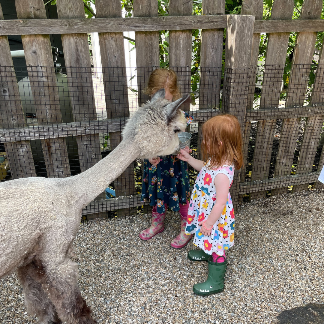 Local Farms to Visit
