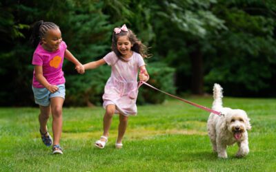 Learn More About Becoming a Daisy with The Girl Scouts of the Jersey Shore!