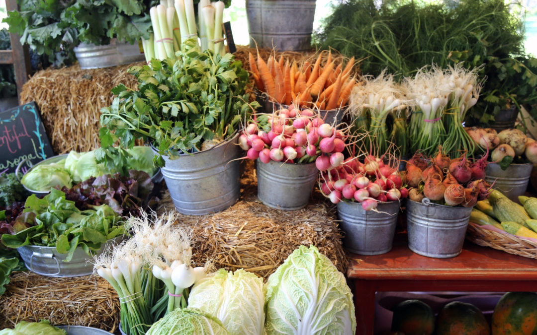 2023 North Shore Farmers Markets