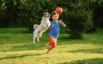 5 Ways to Keep Your Backyard Safe this Summer!
