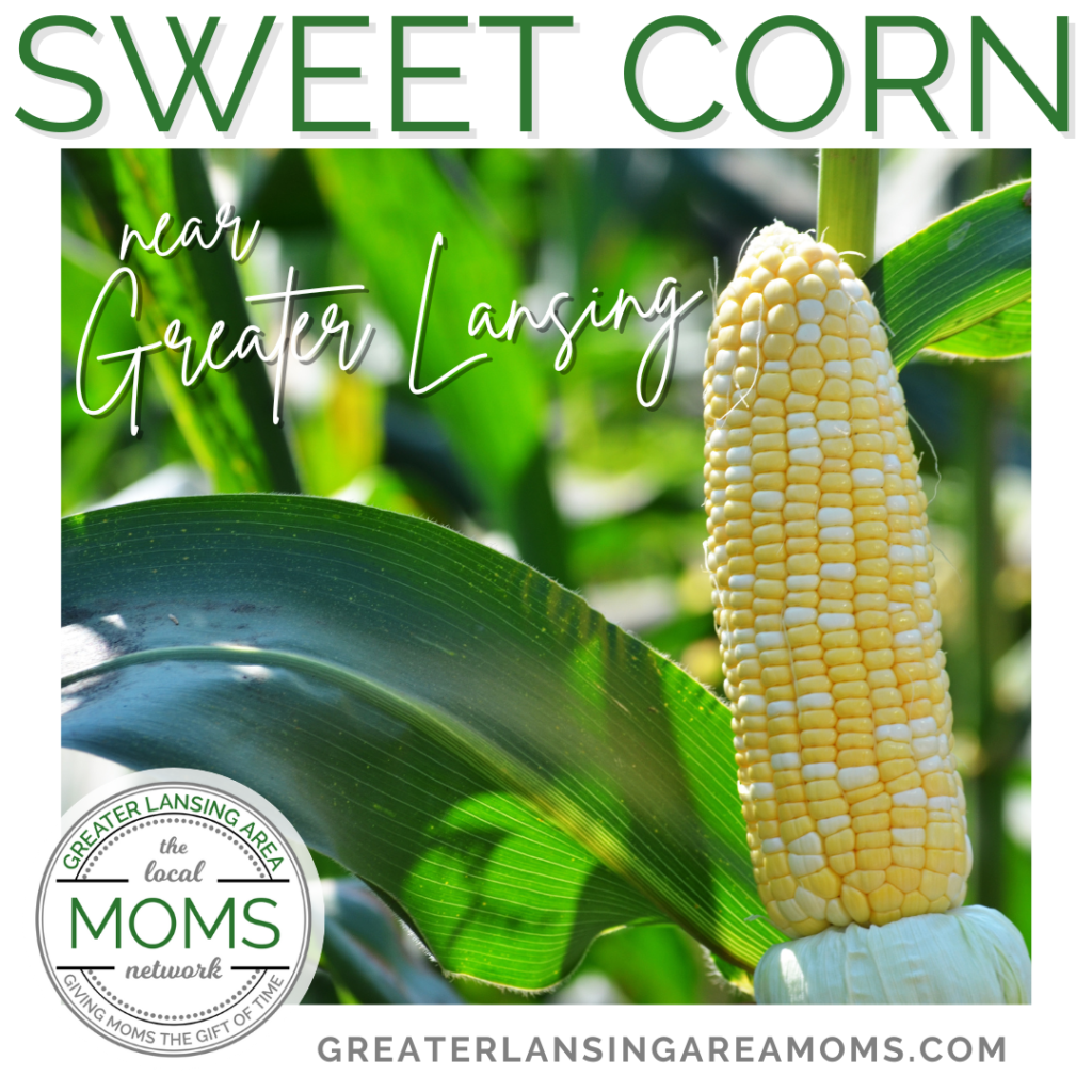 sweet corn