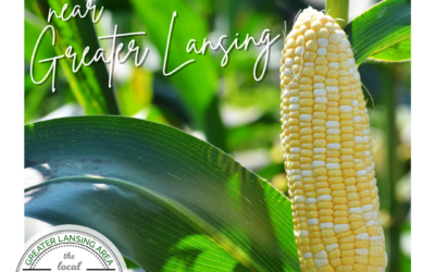 5+ Spots for Sweet Corn around Greater Lansing