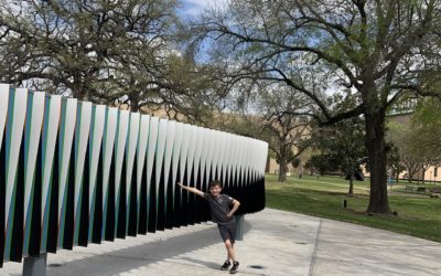 The Joy of Discovering Art with Public Art at the University of Houston System