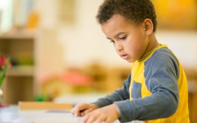 Montessori Toddler Settings Versus Traditional Daycare: Understanding the Difference