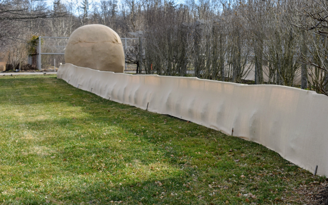 Winter Landscaping Protection for Springtime Splendor