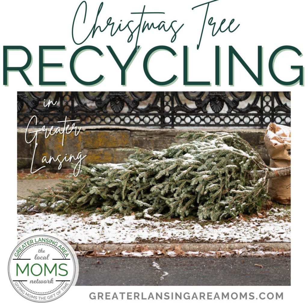 Christmas tree recycling