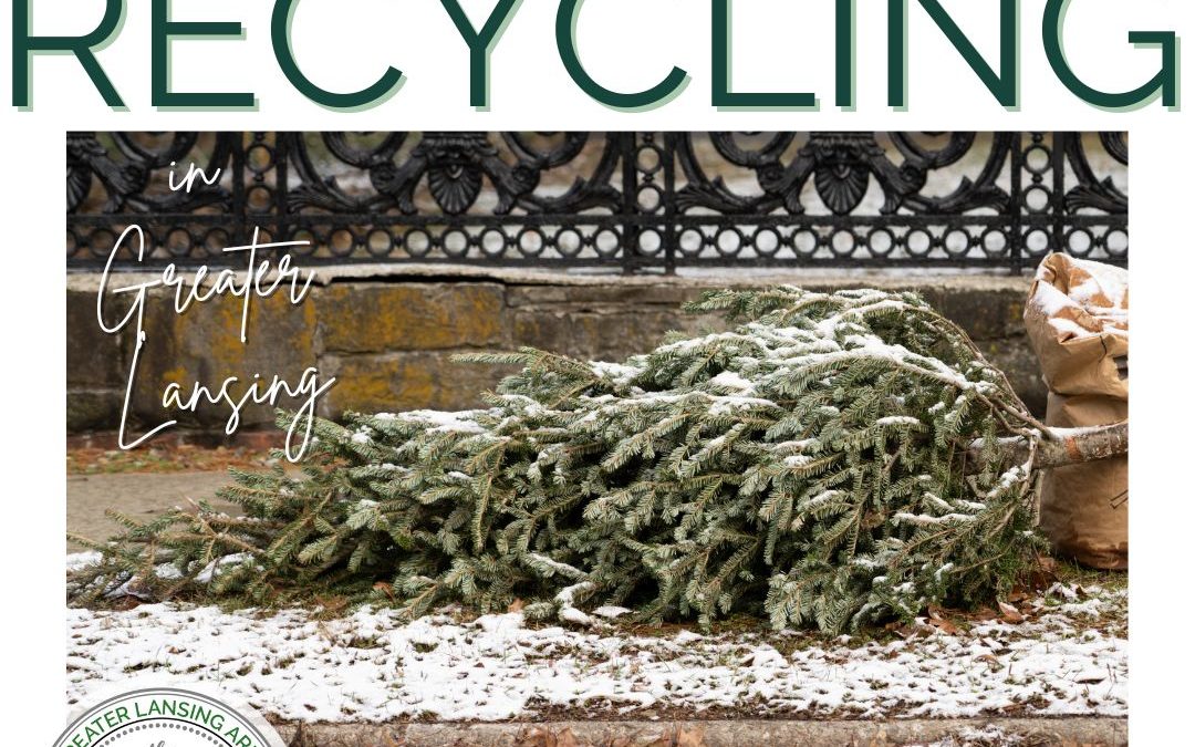 Christmas Tree Recycling