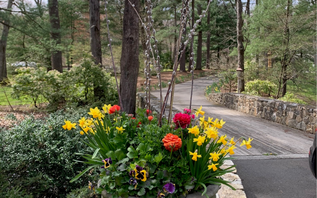 Seasonal Shift: Think Spring Growing Season!