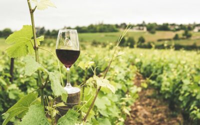 Top Wineries in and around Houston
