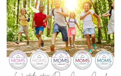 2024 Westchester Day Camp Guide