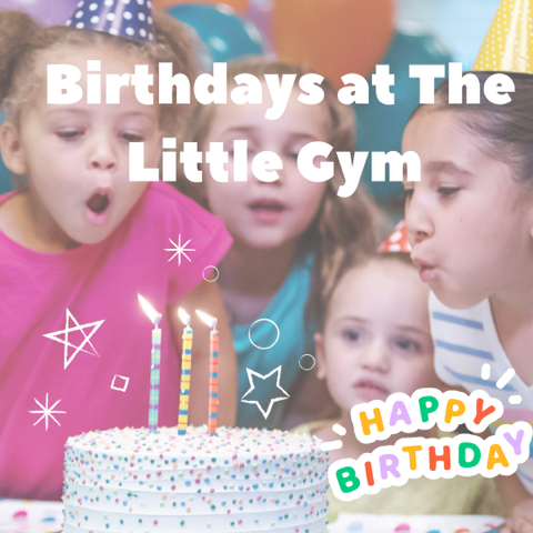 The-Little-Gym the-little-gym