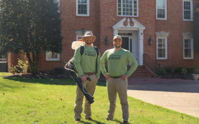 Protect Your Yard & Family This Season with Mosquito Squad!