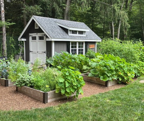 Your Garden to Your Table With An Edible Garden In Connecticut