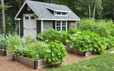 Your Garden to your table with an Edible Garden In Connecticut
