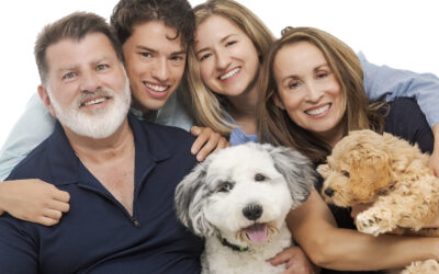 Meet the Mom Behind Room for Paws Pet Resort