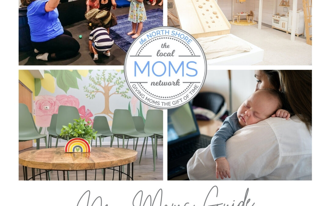 The North Shore Moms 2024 New Moms Guide