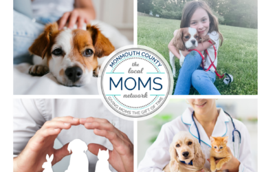 2024 Pet Care Guide!