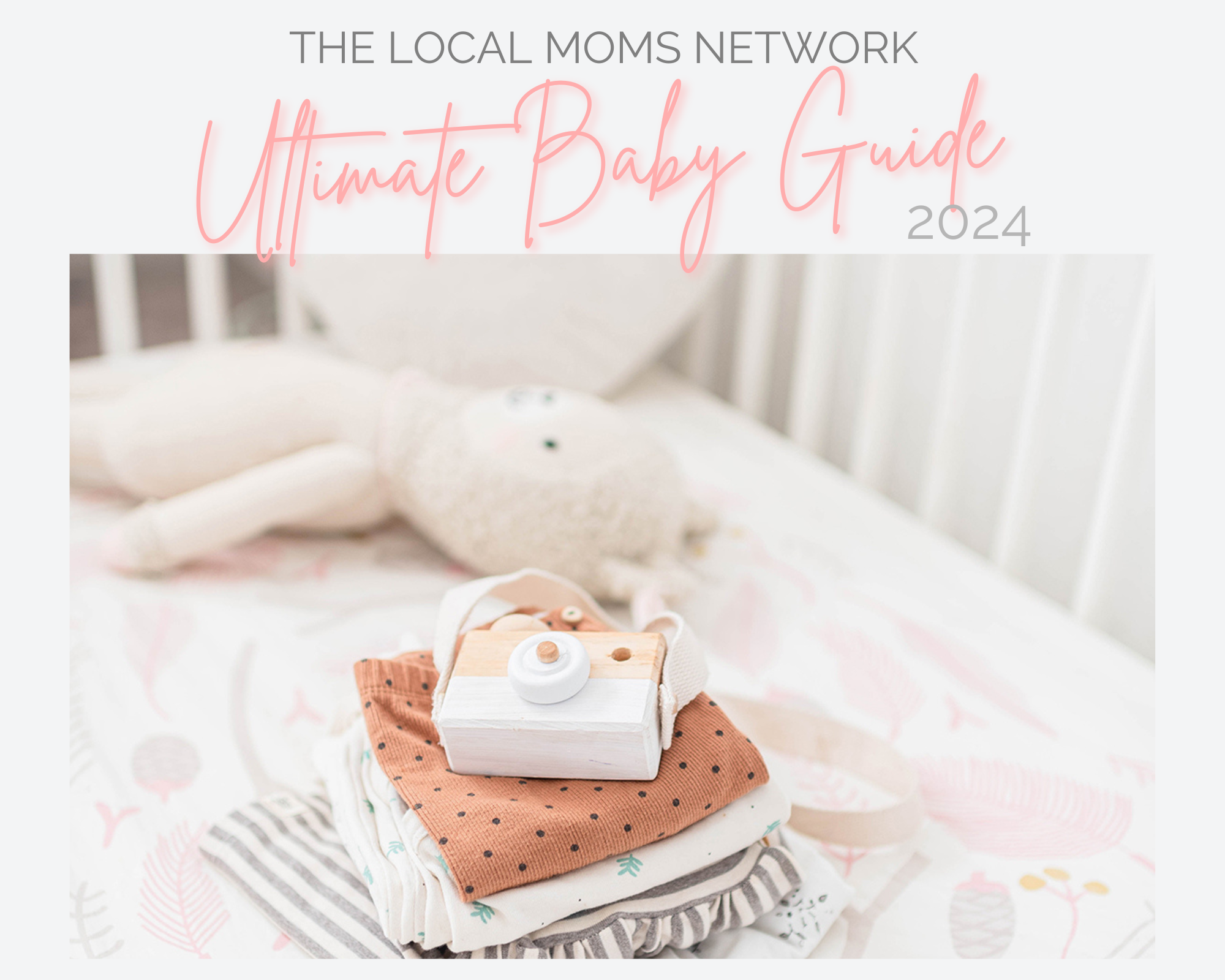 The Local Moms Network Ultimate Baby Guide 2024