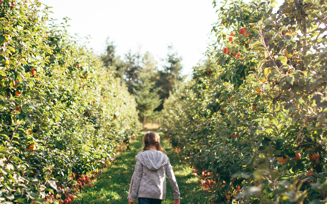 8+ Spots for Apples in Greater Lansing