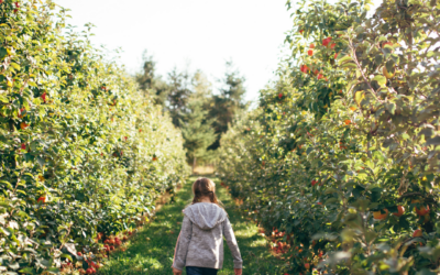 8+ Spots for Apples in Greater Lansing