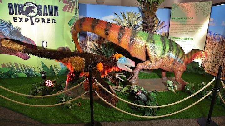 dinosaur explorer photo of two dinosaurs