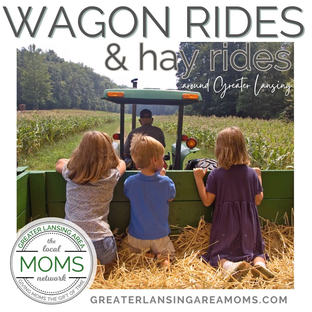 Wagon rides Hay rides