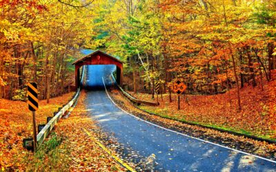 25 Fall Activities Your Family Will Love