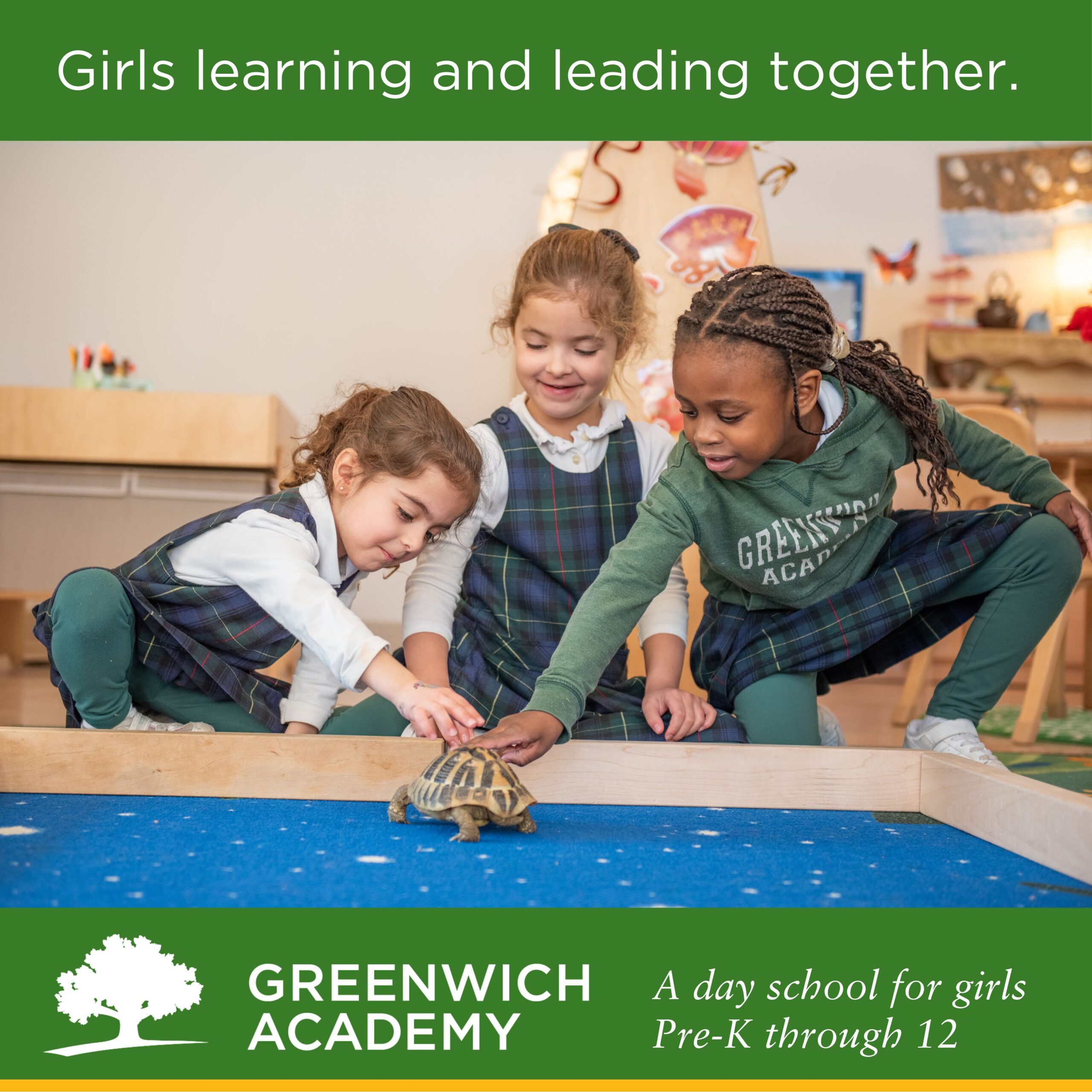 Greenwich-Academy (1)