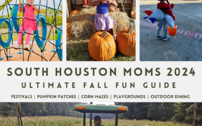 Ultimate Guide to Fall Festivals and Activities in South Houston for 2024