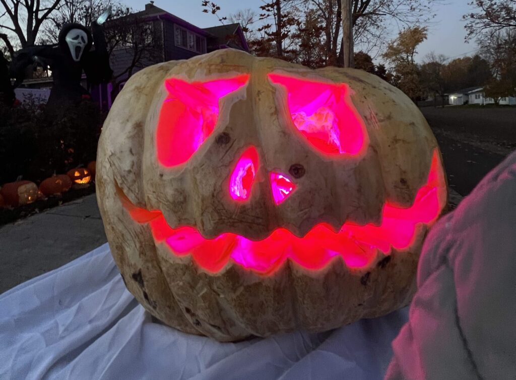Shepherd pumpkins
