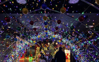 Experience the Magic of the Holidays at the 2024 Holiday Wish Express!