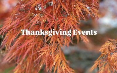 Thanksgiving Events