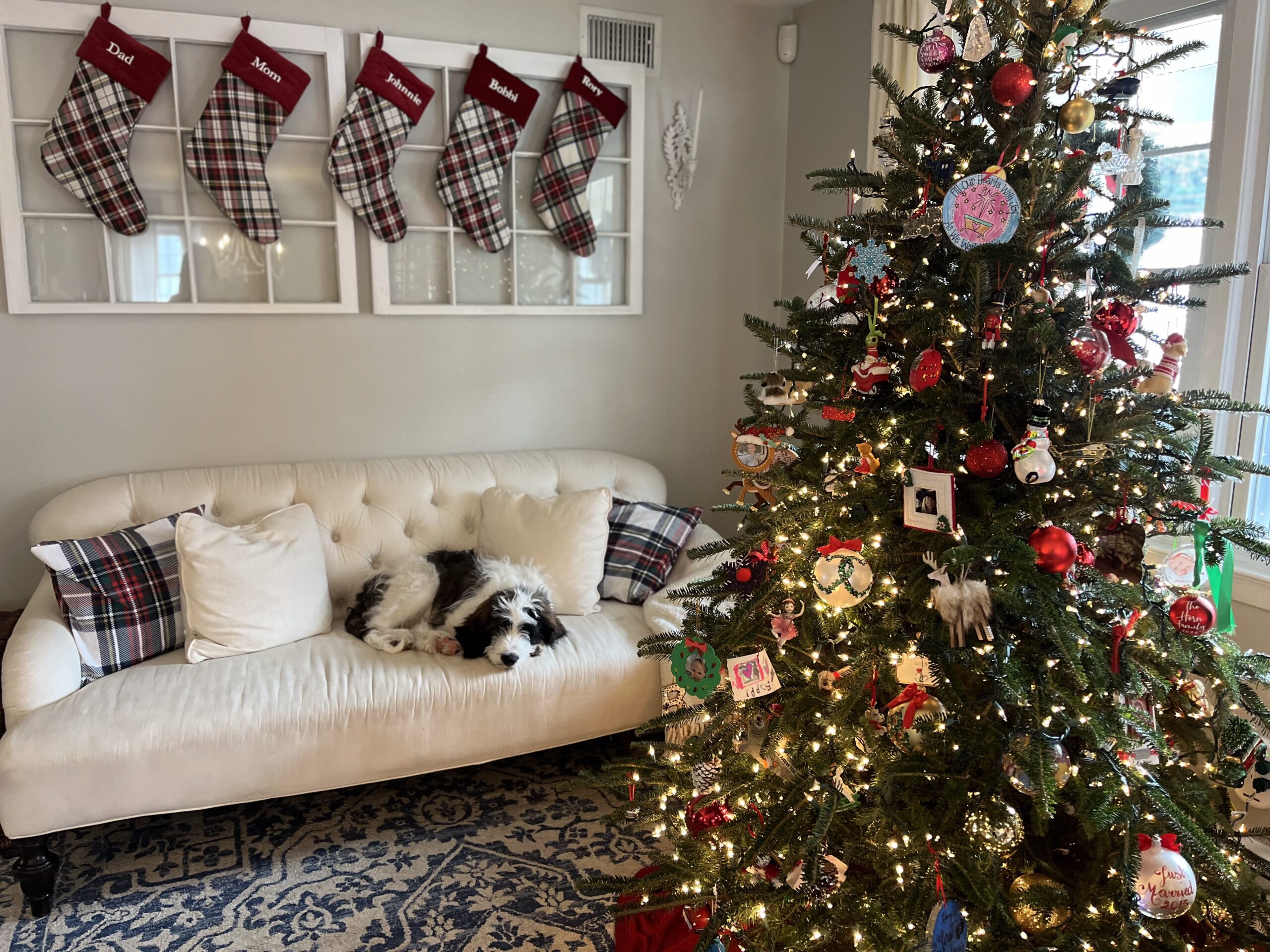 holiday pet safety tips