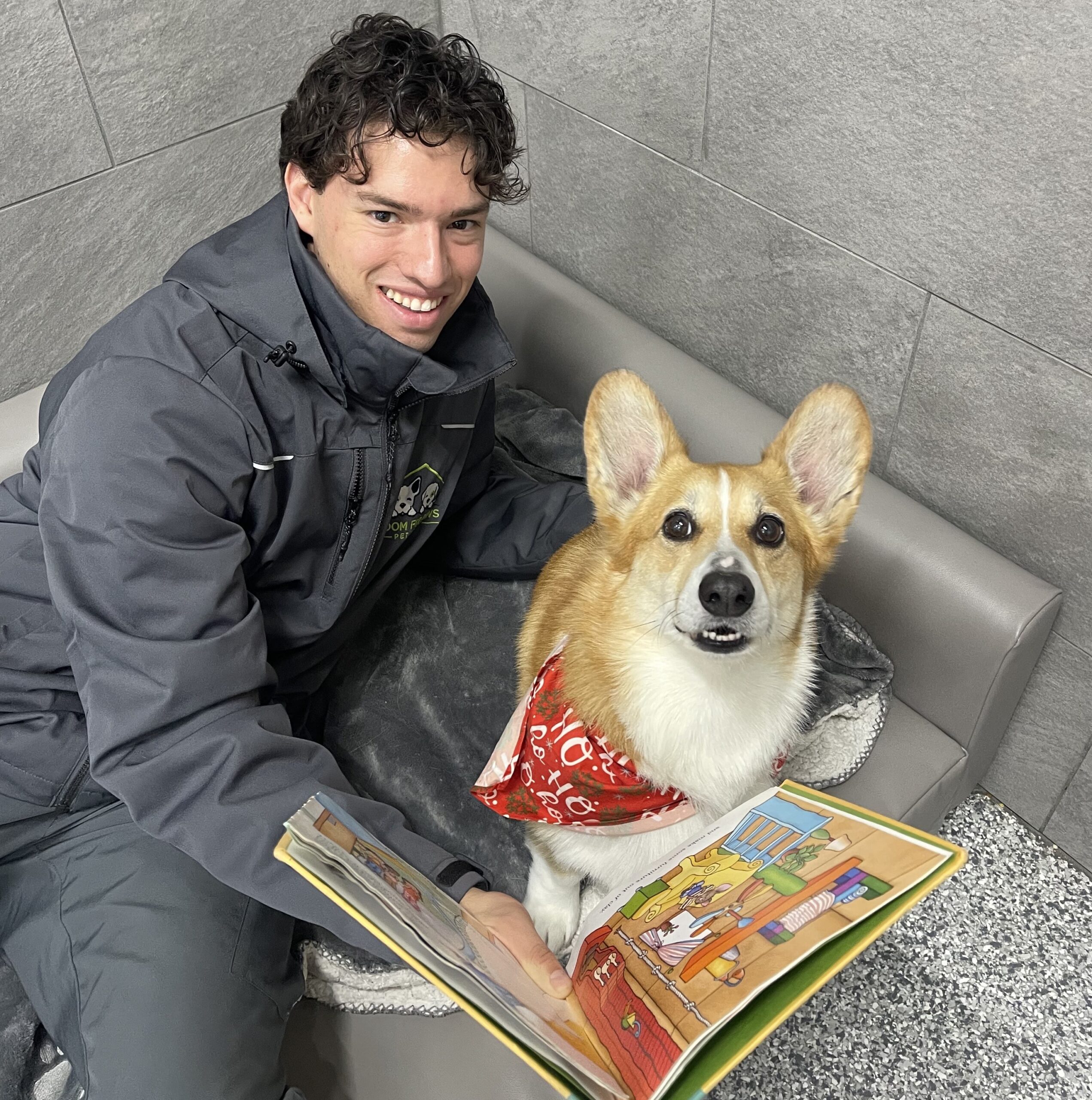 room for paws services