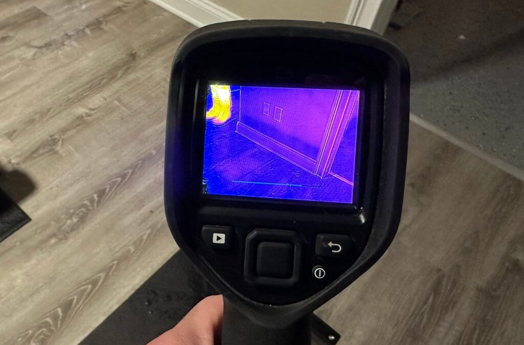 Mold in the Attic: Why it’s a Problem for Homeowners