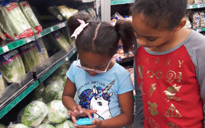 Field Trips—Redefined! Real-World Experiences Ignite Learning at St. Catherine’s Montessori