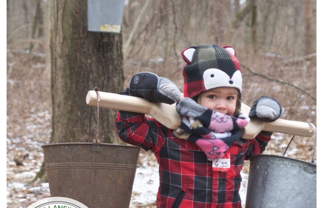 Maple Syrup Fun Around Greater Lansing!