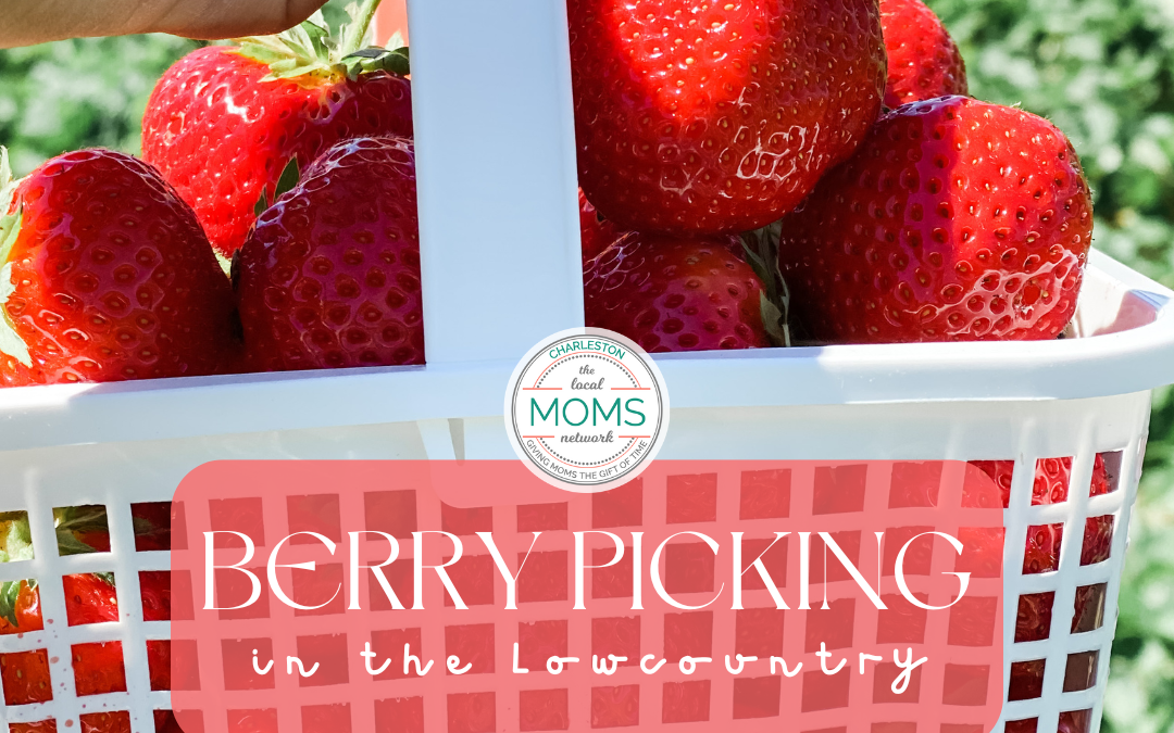 Berry Picking in the Lowcountry
