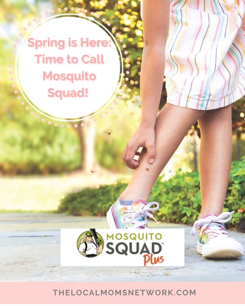 Spring Has Sprung! 4 Reasons to Book Mosquito Squad Today