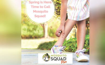 Spring Has Sprung! 4 Reasons to Book Mosquito Squad Today