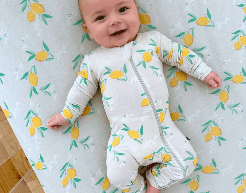 The Local Moms Network Ultimate Baby Guide