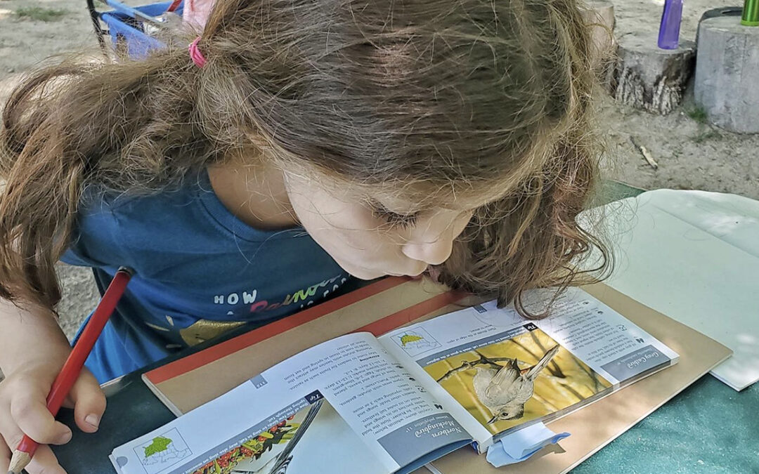 Introducing Alphabet Academy- the newest preschool coming to the area!