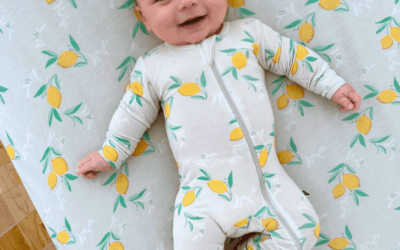The Local Moms Network Ultimate Baby Guide