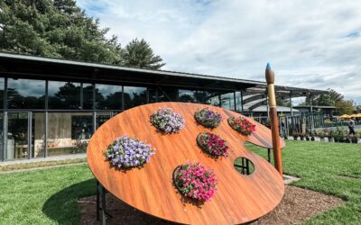 Van Gogh’s Flowers at NYBG: A Fun Day Trip for Families